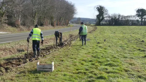 Parc Normandie-Maine : plus de vingt kilomètres de haies nouvelles !